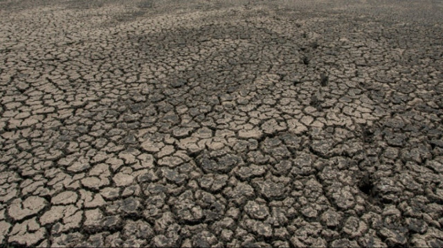 Une sécheresse sans précédent frappe l'Afrique australe, réduisant à néant les récoltes au Malawi et forçant les habitants à se nourrir de tubercules toxiques.