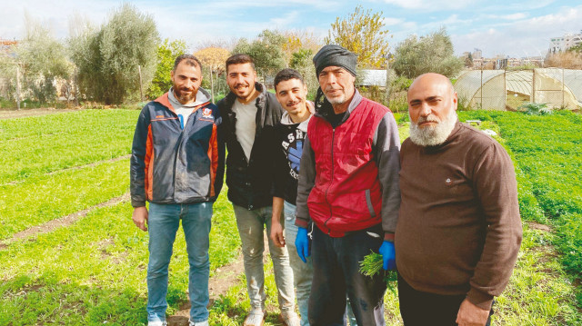 Suriyeli çiftçiler.