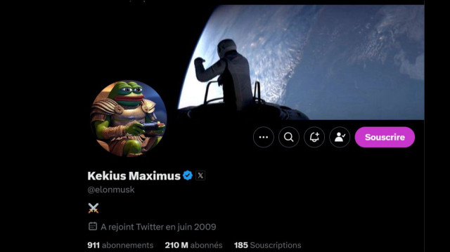 Profil d'Elon Musk sur la plateforme X.