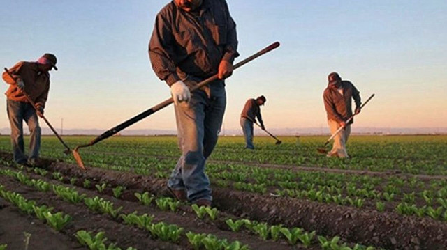 Çiftçi destekleme ödemeleri yapıldı