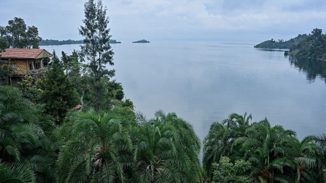 Des palmiers poussent près du lac Kivu à Kibuye, dans le district de Karongi, dans la province occidentale du Rwanda.