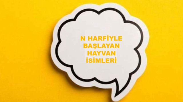 N harfiyle başlayan hayvanlar