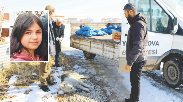 Yeni Şafak’ın ulaştığı bilgilere göre, hayvan barınağı Eslem’in öldürüldüğü güne kadar boştu.