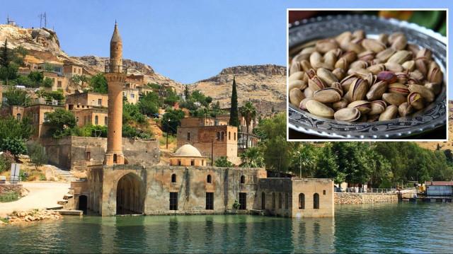 Antep fıstık ezmesi, Antep lahmacunu, Antep muskası ve Antep bulgurunun da tescili için başvuruda bulundukları bildirildi.