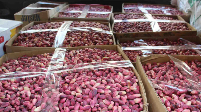 وزارة التجارة التركية تدرس استيراد الفستق من سوريا