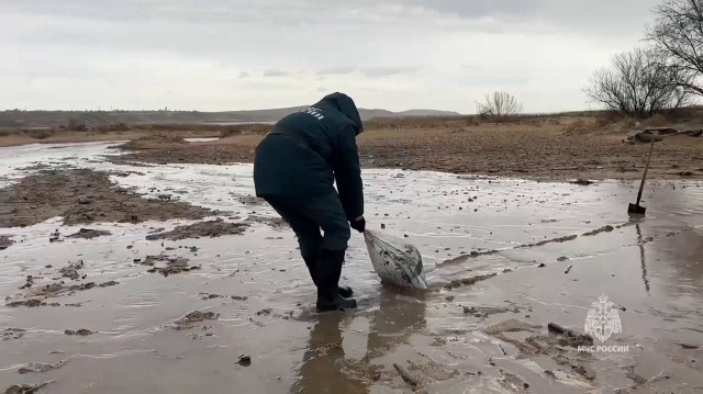 Des sauveteurs intervenant sur une marée noire le long du littoral de la mer Noire le 17 décembre 2024, causée par le naufrage de deux pétroliers dans le détroit de Kertch entre la Crimée et la région de Krasnodar, dans le sud de la Russie.