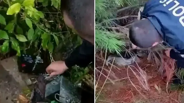Aramalarda 1 ruhsatsız tüfek, 3 teyp ve teyplere bağlı akü ile 1 kafes içerisinde canlı bıldırcın ele geçirildi