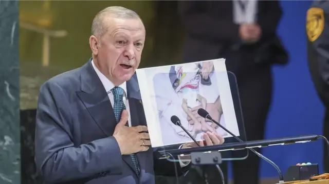 Erdoğan's Palestine message