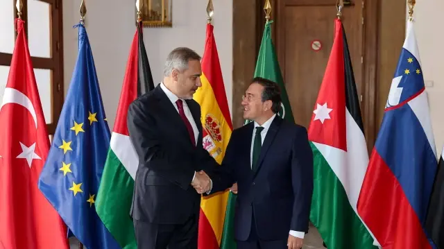 فيدان ونظيره الإسباني يبحثان خطة وقف إطلاق النار في غزة