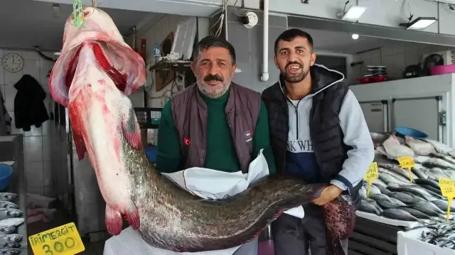 SAMSUN'UN ALTINKAYA BARAJI'NDA BALIKÇILAR TARAFINDAN 2 METRE UZUNLUĞUNDA, 85 KİLOGRAM AĞIRLIĞINDA DEV BİR YAYIN BALIĞI YAKALANDI.