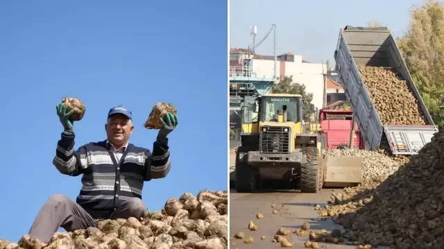 Türkiye yıllık 22,5 milyon tonla pancar üretiminde Avrupa’da dördüncü sırada.