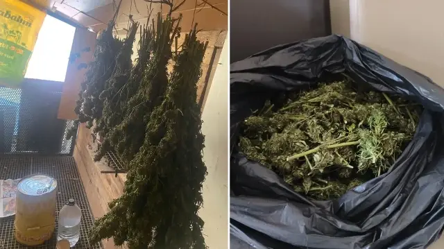 Arama yapılan evin bahçesindeki güvercin kümesinde uyuşturucu bulundu