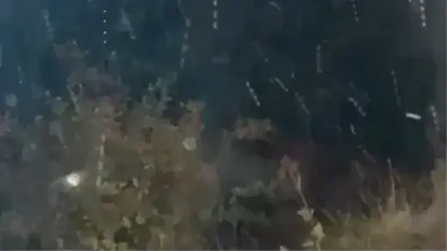 Kar yağışının aralıklarla devam etmesi bekleniyor.