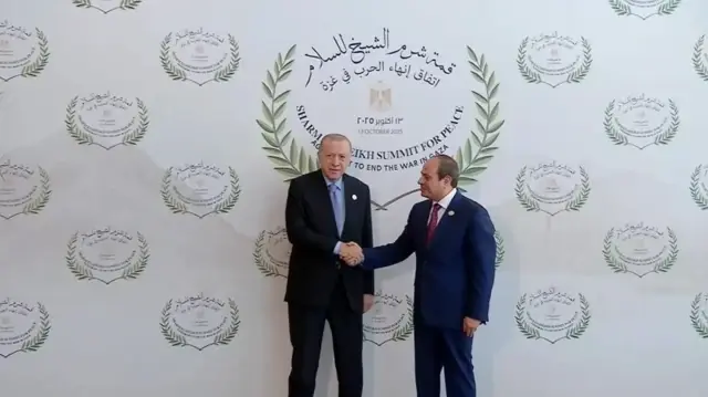 President Erdogan Arrives in Egypt for Gaza Peace Summit