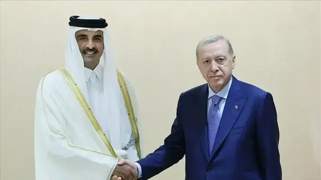الرئيس أردوغان يلتقي أمير قطر في شرم الشيخ
