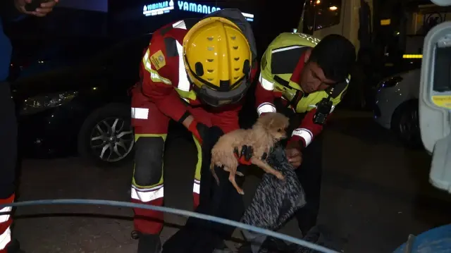 İtfaiye ekipleri, 6 saatlik çalışma sonucu köpek yavrusunu sıkıştığı kanalizasyon borusundan çıkardı.