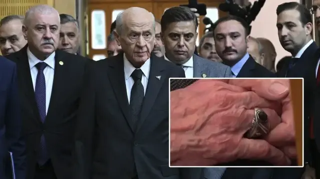 Devlet Bahçeli