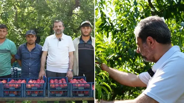 Gürsu Belediye Başkanı Mustafa Işık’ın vizyoner tarımsal bakış açısını yansıtan yeni dönemde hem ilçe hem de il tarımı kalkınıyor.