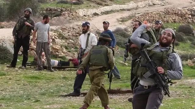 الضفة.. جيش الاحتلال الإسرائيلي ومستوطنون يهاجمون فلسطينيين يجنون زيتونا