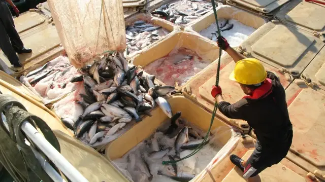 Türkiye and China sign seafood export agreements in Shanghai