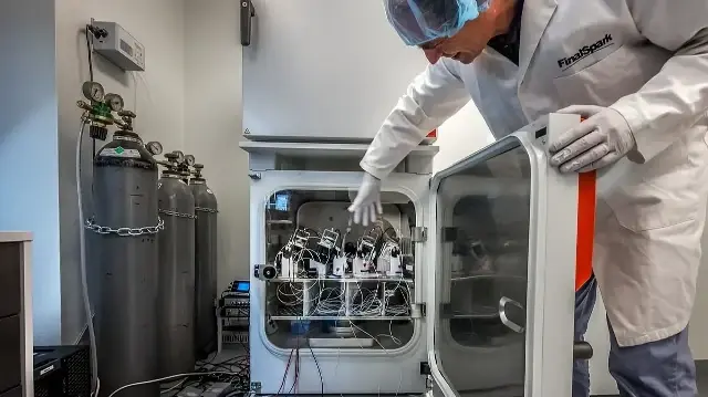 В Швейцарии разрабатывают компьютеры из живых нейронов | Фото: AFP