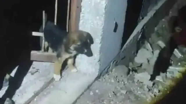 Kurtarılan köpeğin sağlık durumunun iyi olduğu öğrenildi.