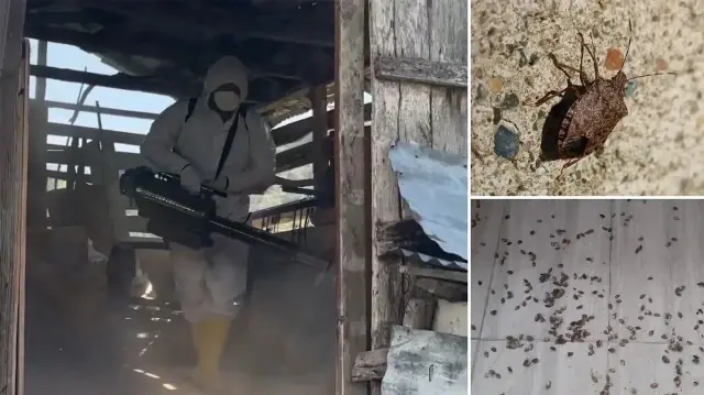 Kamu spotlarıyla vatandaşlar da zararlıya karşı bilinçlendiriliyor.