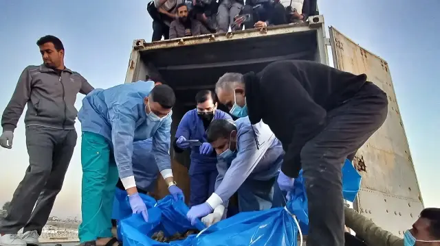 صحة غزة: تسلمنا من الاحتلال جثامين مصابة بالرصاص في الصدر والرأس