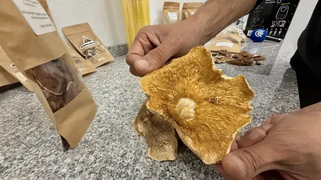 Uzmanından 'mantar zehirlenmelerinde sağlık kuruluşuna giderken yanınızda yediğiniz mantardan götürün' tavsiyesi