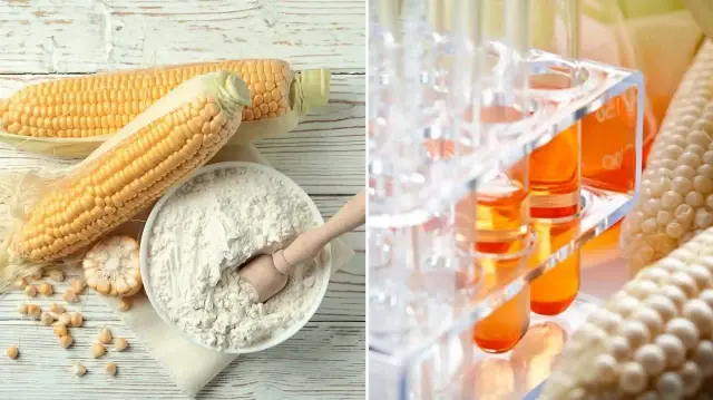 Nişasta doğal olarak tatlı madde değil, fabrikalarda ona tatlılık kazandıracak bir ton işlem uygulanıyor.