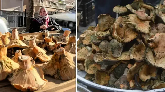 Mantar satıcıları, mantarın bolluğuna göre fiyatların daha makul seviyelere inebileceğini belirtiyor.