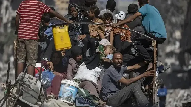 Gaza's environmental collapse: two years of Israeli assault leaves ecosystem in ruins
