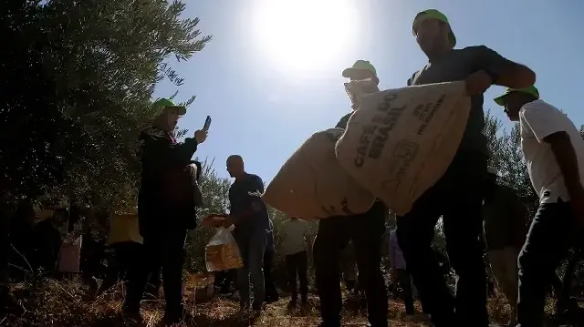 Israel deports activists aiding Palestinian farmers in West Bank