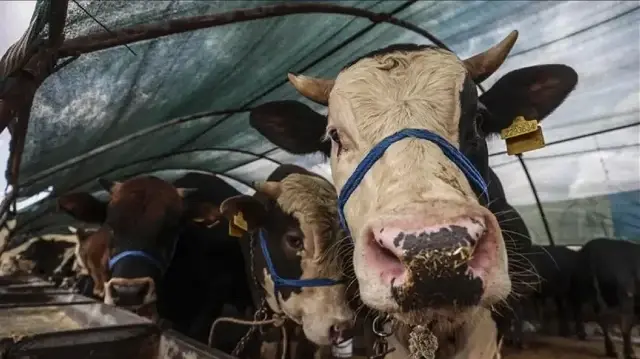 Kurban Bayramı 2026 ne zaman?