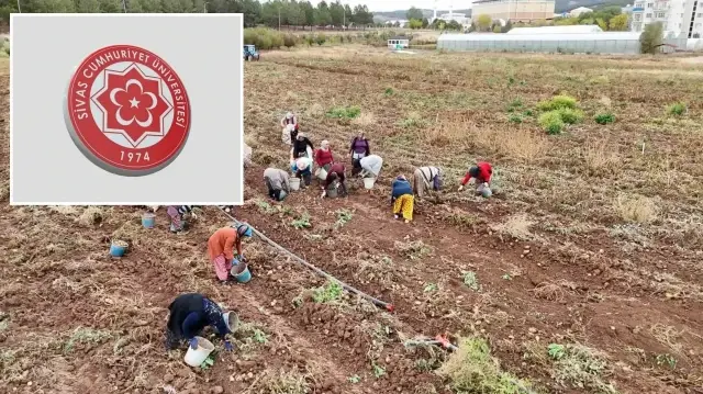 Sivas Cumhuriyet Üniversitesi Tarım Uygulama ve Araştırma Merkezi