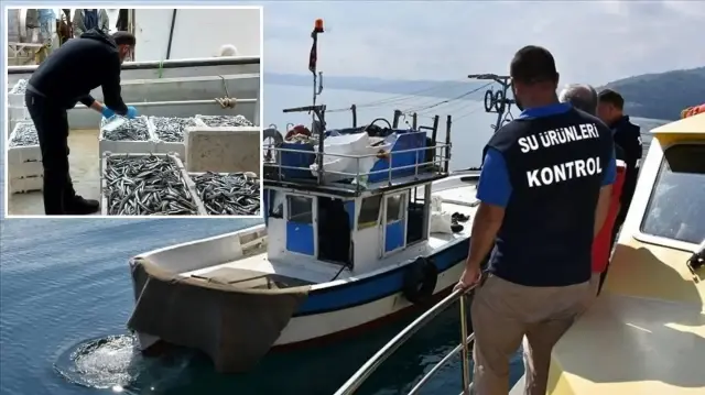 Su ürünleri denetiminde 10 ayda 127 milyon lira ceza kesildi