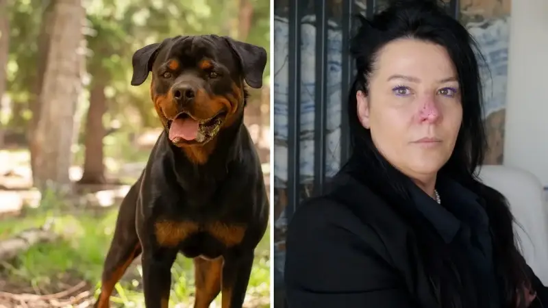 Huriye Abikebahşi, bir yandan da aldığı psikolojik destekle yaşadıklarını atlatmaya çalışıyor.