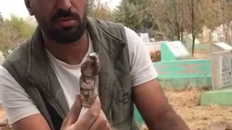 Vatandaş ipleri kesip, üzerindeki bez parçalarını sökerek yaktı.