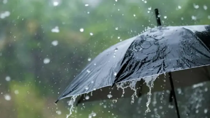 Öğle saatlerinden itibaren rüzgarın güney ve güneybatı yönlerden İzmir, Manisa, Çanakkale, Balıkesir, Bursa, Edirne'nin güneyi ve Tekirdağ çevrelerinde kuvvetli ve kısa süreli fırtına şeklinde esmesi bekleniyor.