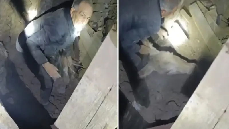 Sındırgı’da enkaz altında kalan eşek depremden sağ kurtuldu.
