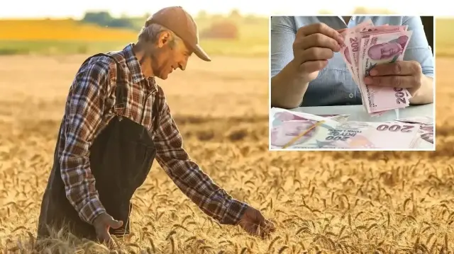Tarımsal destekleme tutarları