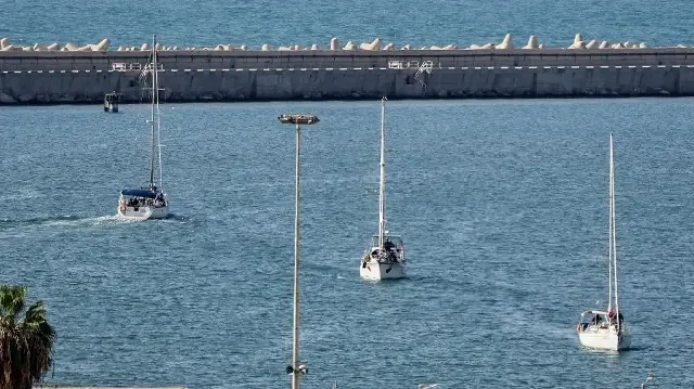Des navires de la Flottille mondiale Sumud, interceptés par les forces israéliennes en mer Méditerranée au large des côtes de Gaza, sont arrivés le 2 octobre 2025 au port sud d’Ashdod.