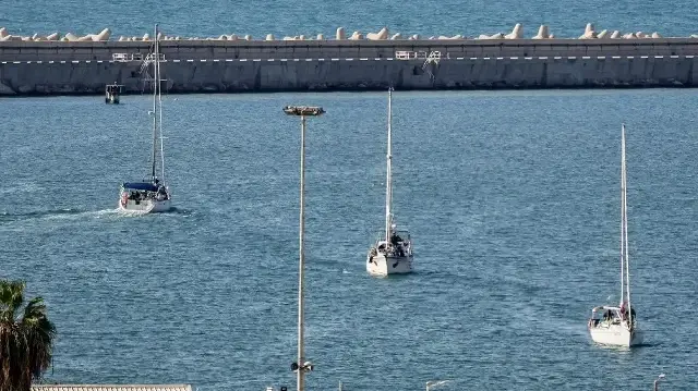 Les bateaux de la flottille mondiale Sumud interceptés par les forces israéliennes en mer Méditerranée au large des côtes de la bande de Gaza arrivent dans le port méridional d'Ashdod le 2 octobre 2025.