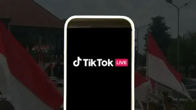 Jakarta reproche à l’application chinoise de ne pas avoir transmis les informations demandées sur ses activités de direct.