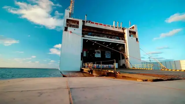 7.2 آلاف طن من المساعدات الإماراتية تصل مصر لنقلها إلى غزة