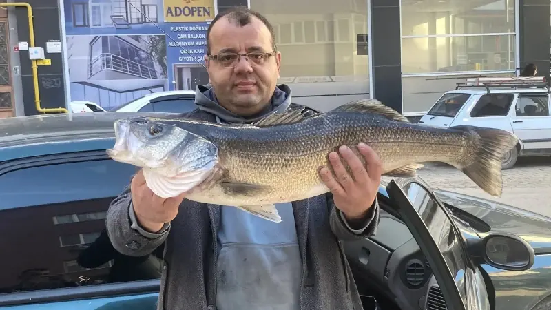 Demir, son günlerde hava sıcaklığının düşmesiyle levreklerin kıyıya daha yakın yerlerde görülmeye başladığını, bunun amatör balıkçılar için fırsat olduğunu kaydetti.