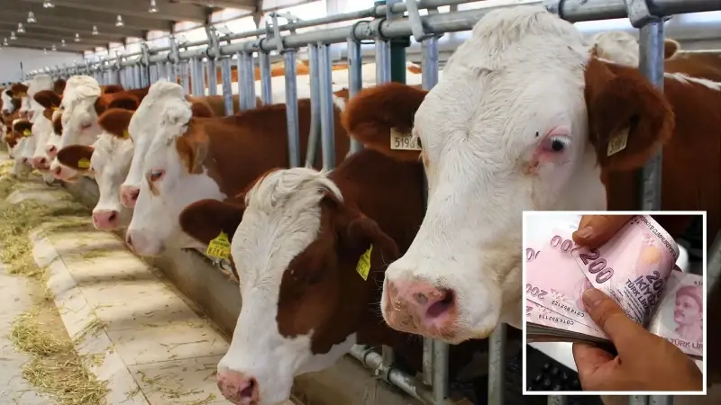 Resmi Gazete'de yayımlandı.