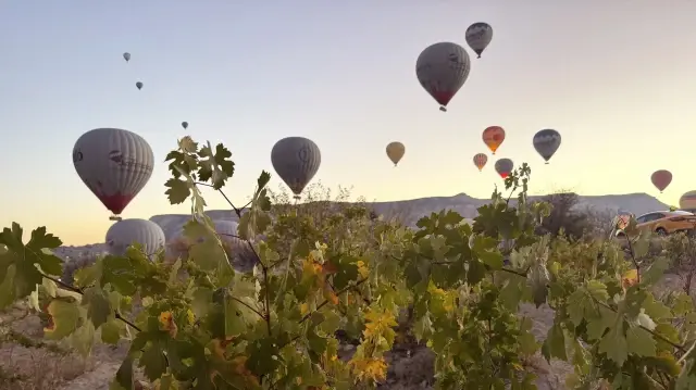 <p>كبادوكيا التركية تستقبل زوارها بألوان "الخريف الذهبي"</p><p><br></p>