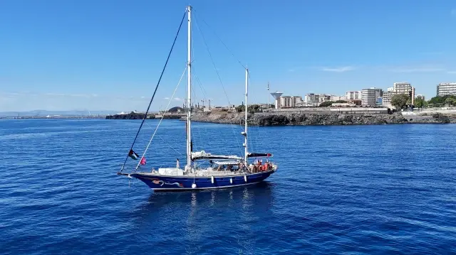 أمريكية بأسطول الحرية: ستواصل السفن الإبحار حتى تحرير فلسطين