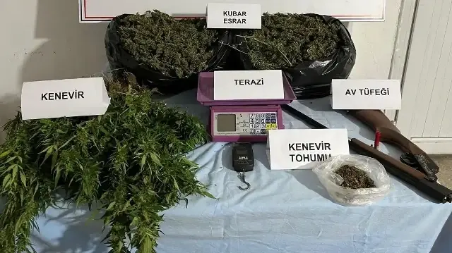 Evde yapılan aramada 10 kilo 230 kubar gram esrar, 700 kenevir tohumu, 18 kök kenevir, 2 hassas terazi ve 1 ruhsatsız av tüfeği ele geçirdi.